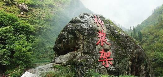 救援花栗鼠